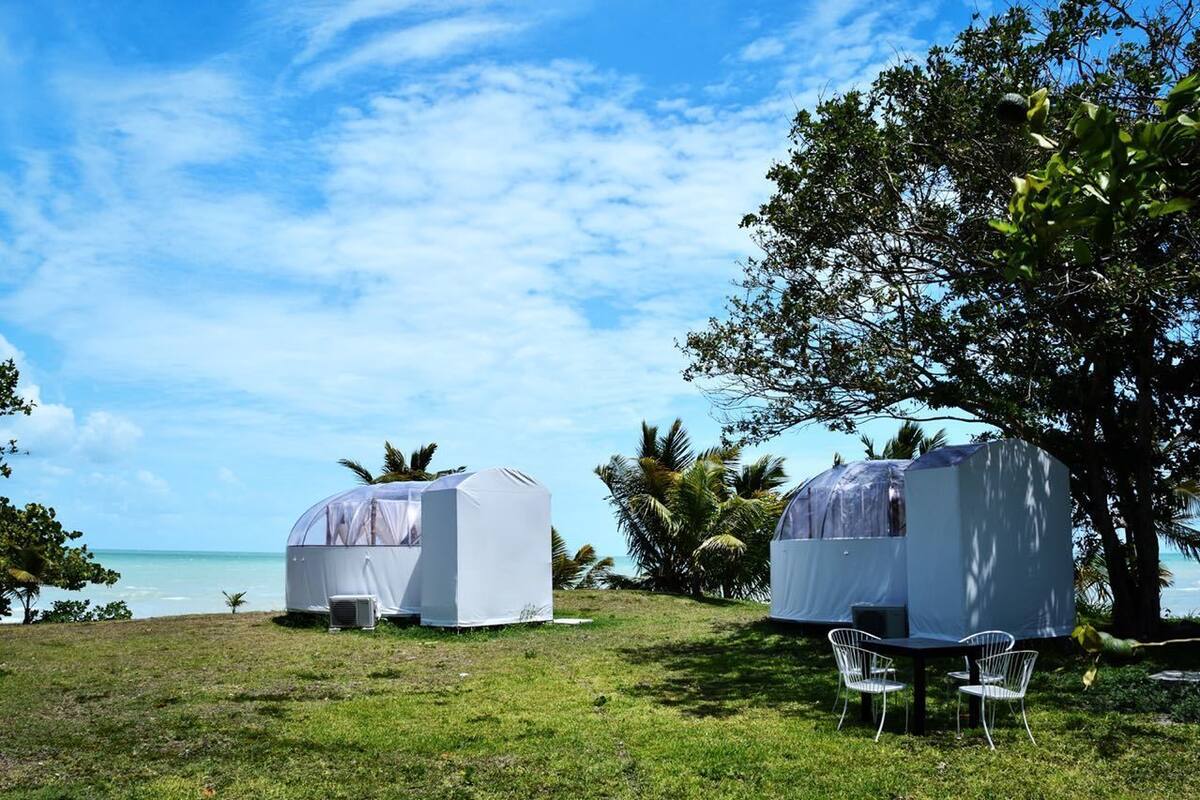 ベーシック ダブルルーム キングベッド 1 台 禁煙 | WiFi (無料)、ベッドシーツ