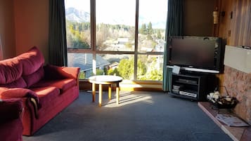 TV, fireplace, DVD player, stereo