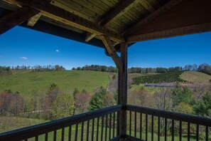 Gentle views (and a tree farm!)...