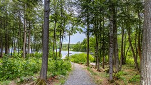 Ett skogsområde med en grusväg som leder till en sjö.