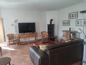 Télévision, cheminée, lecteur de DVD