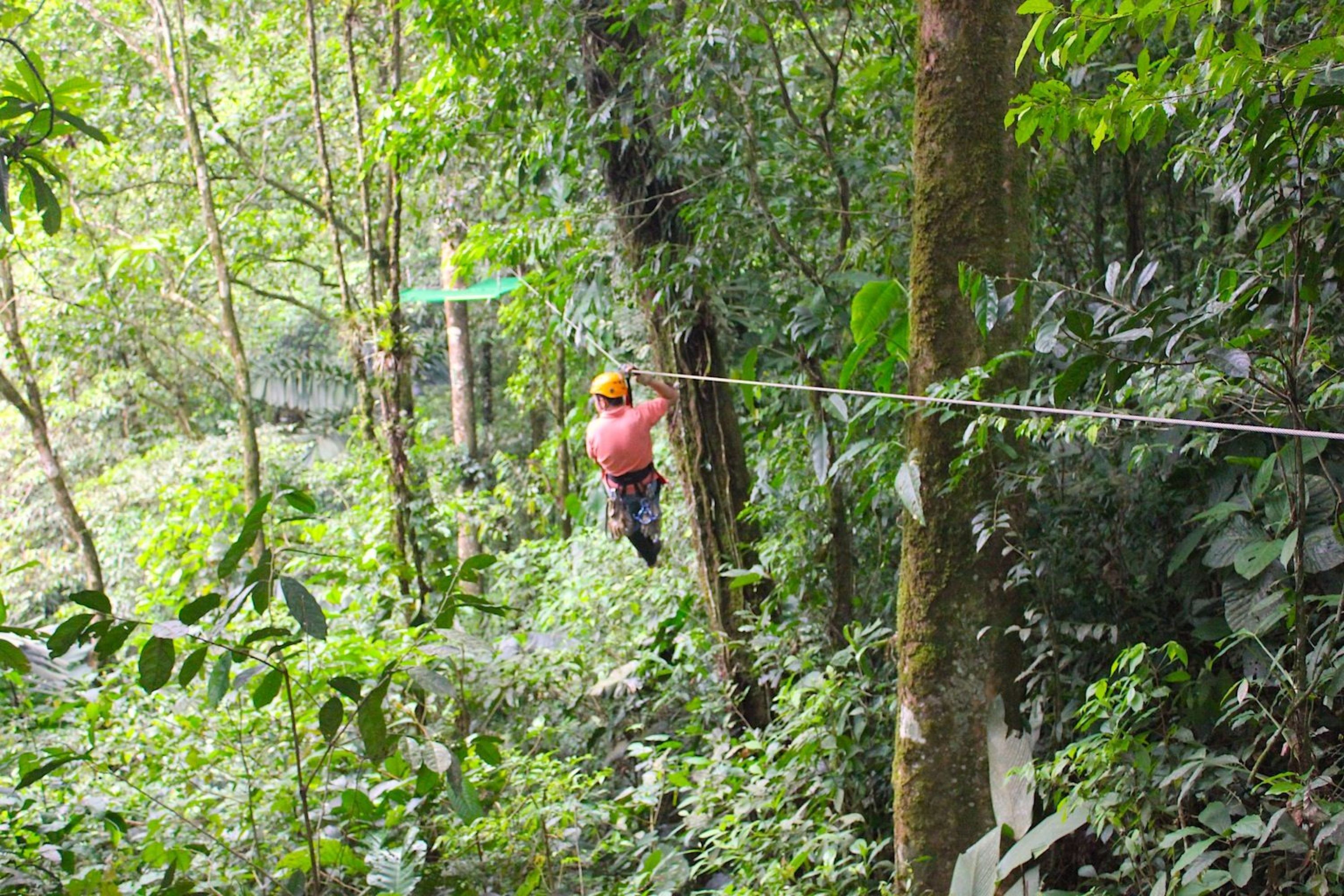 A person zip-lining through a dense forest.