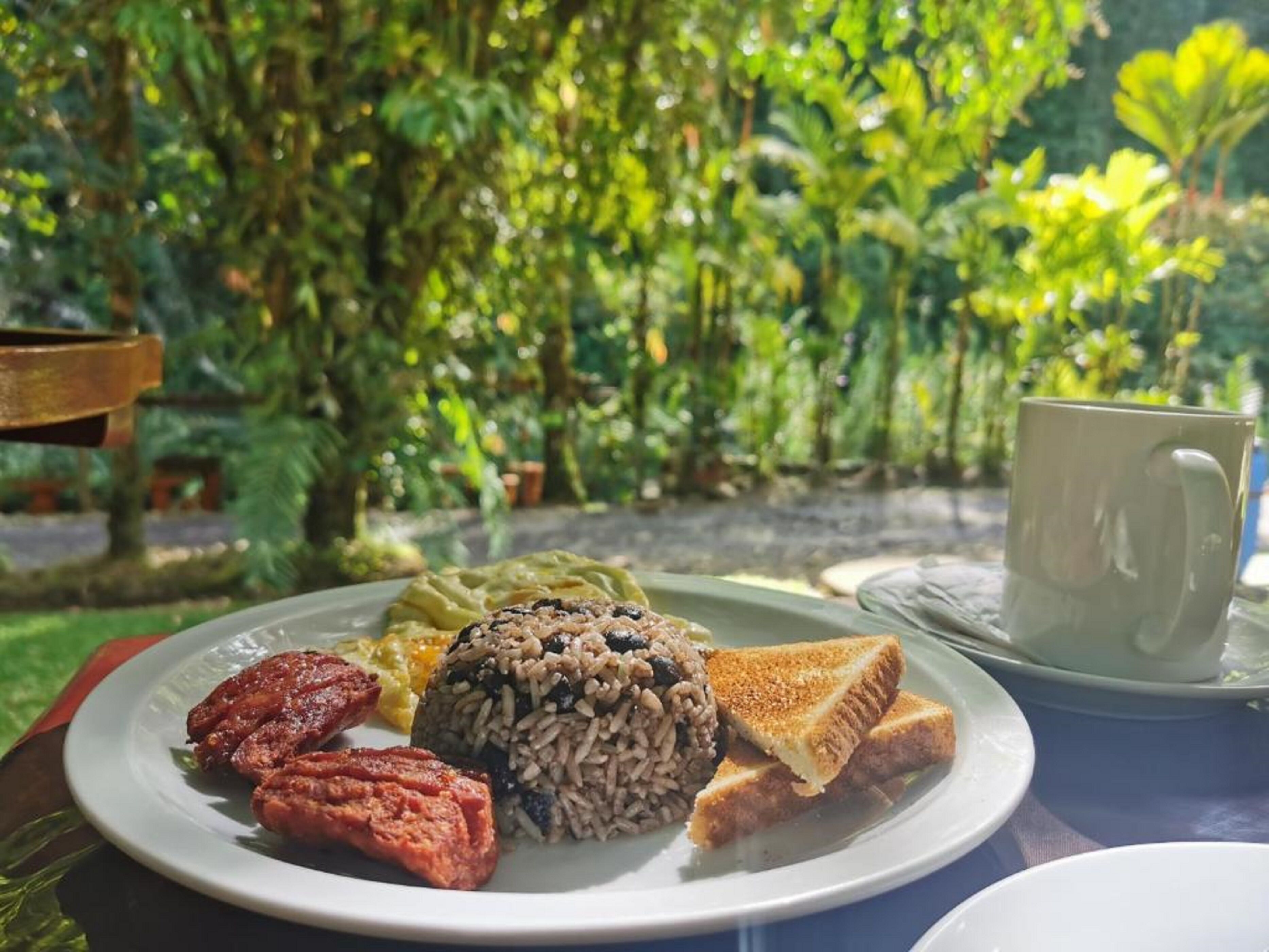 A plate of food with rice, toast, and sausages, a mug, and a table in a garden setting.