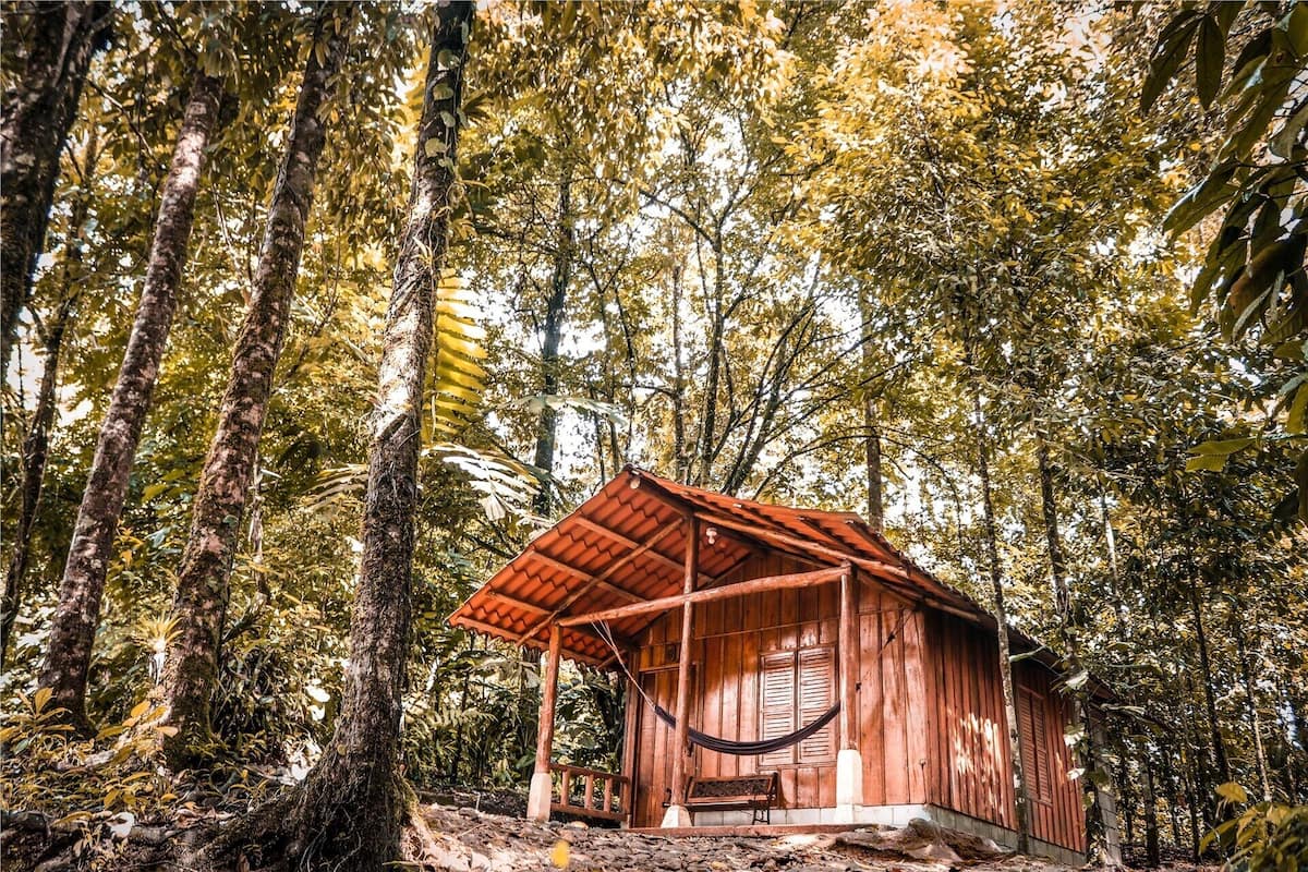 A wooden cabin with a porch, surrounded by dense forest.