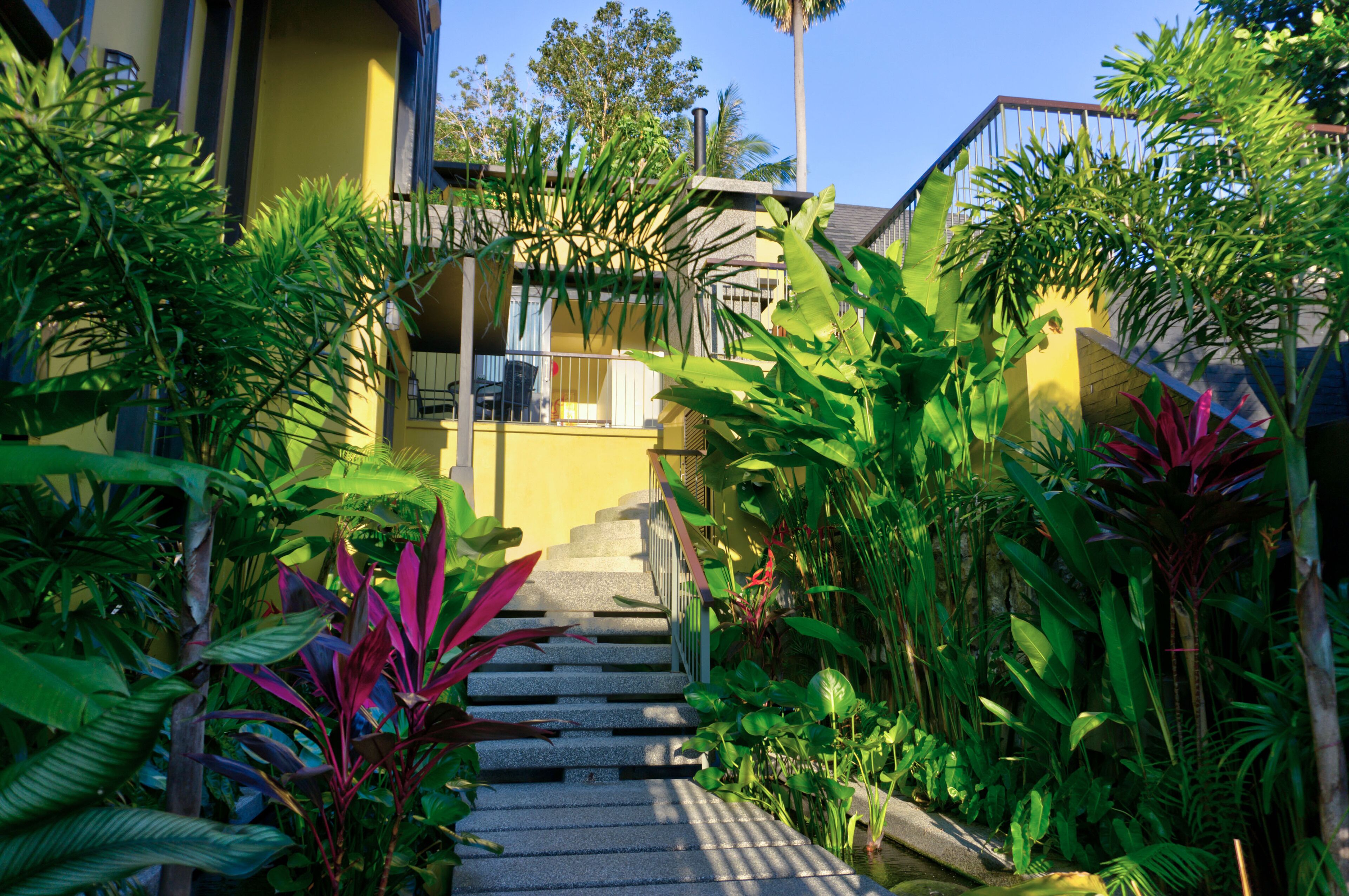 A staircase leading to a yellow building surrounded by lush tropical plants.