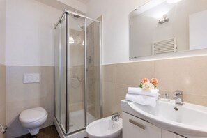Shower, hair dryer, bidet, towels
