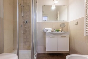 Shower, hair dryer, bidet, towels