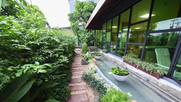 A narrow pathway flanked by lush greenery and potted plants leading to a building with large windows. - Wish Hotel Ubon (Ubon Ratchathani)