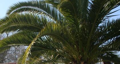 casa de la familia funcional de 115 m2 en 2 niveles, con un jardín cerrado