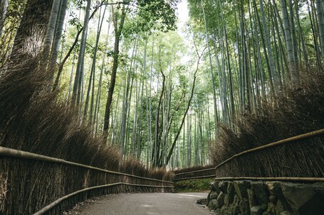 Tokyu Stay Kyoto Sakaiza Shijo Kawaramachi - Image 83
