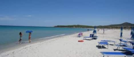 Nära stranden