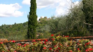 Eine steine Mauer mit roten Blumen, ein hoher Baum und ein Gebäude auf einem Hügel im Hintergrund.