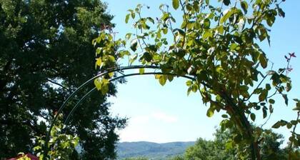 Schöne Villa mit Pool in der hügeligen Gegend des Valdichiana, ca. 1 km vom Dorf Lucignano entfernt,