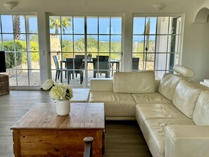 Smart TV, fireplace, books, music library