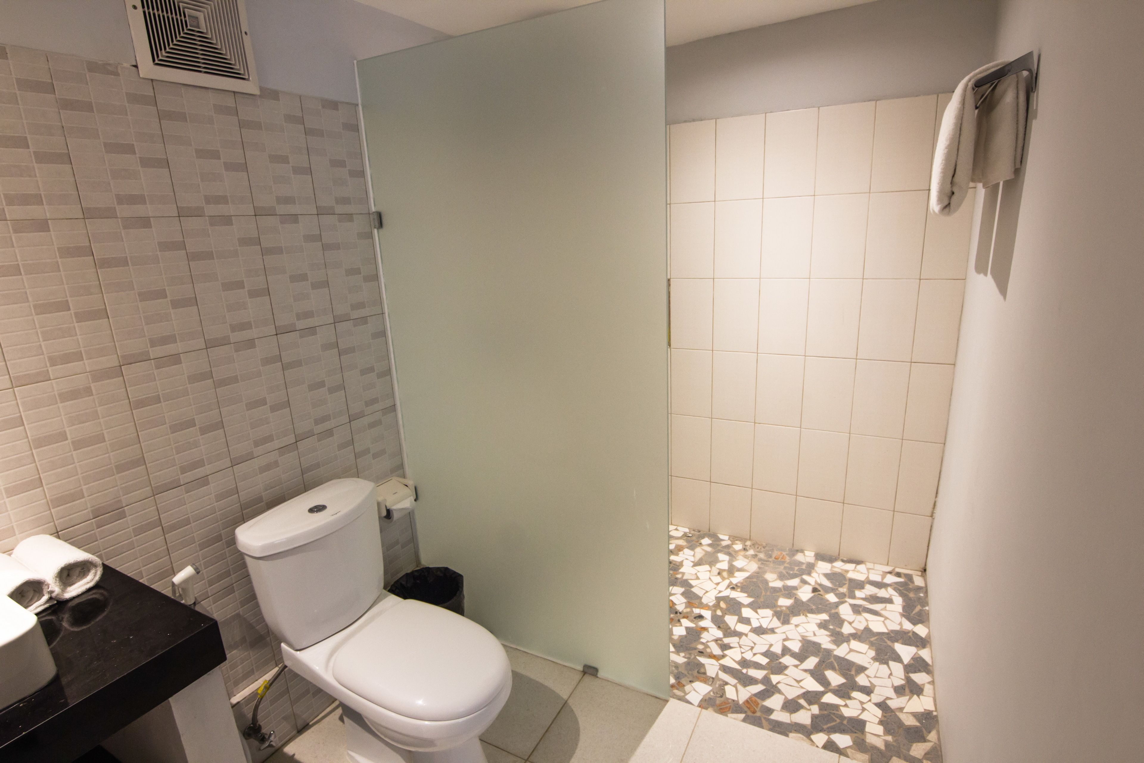 Een badkamer met toilet, wastafel en douchegedeelte met mozaïektegels.