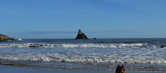 Coastal/ country cottage in Pembrokeshire National Park. Award winning beaches.