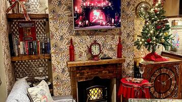 TV, fireplace, DVD player, books