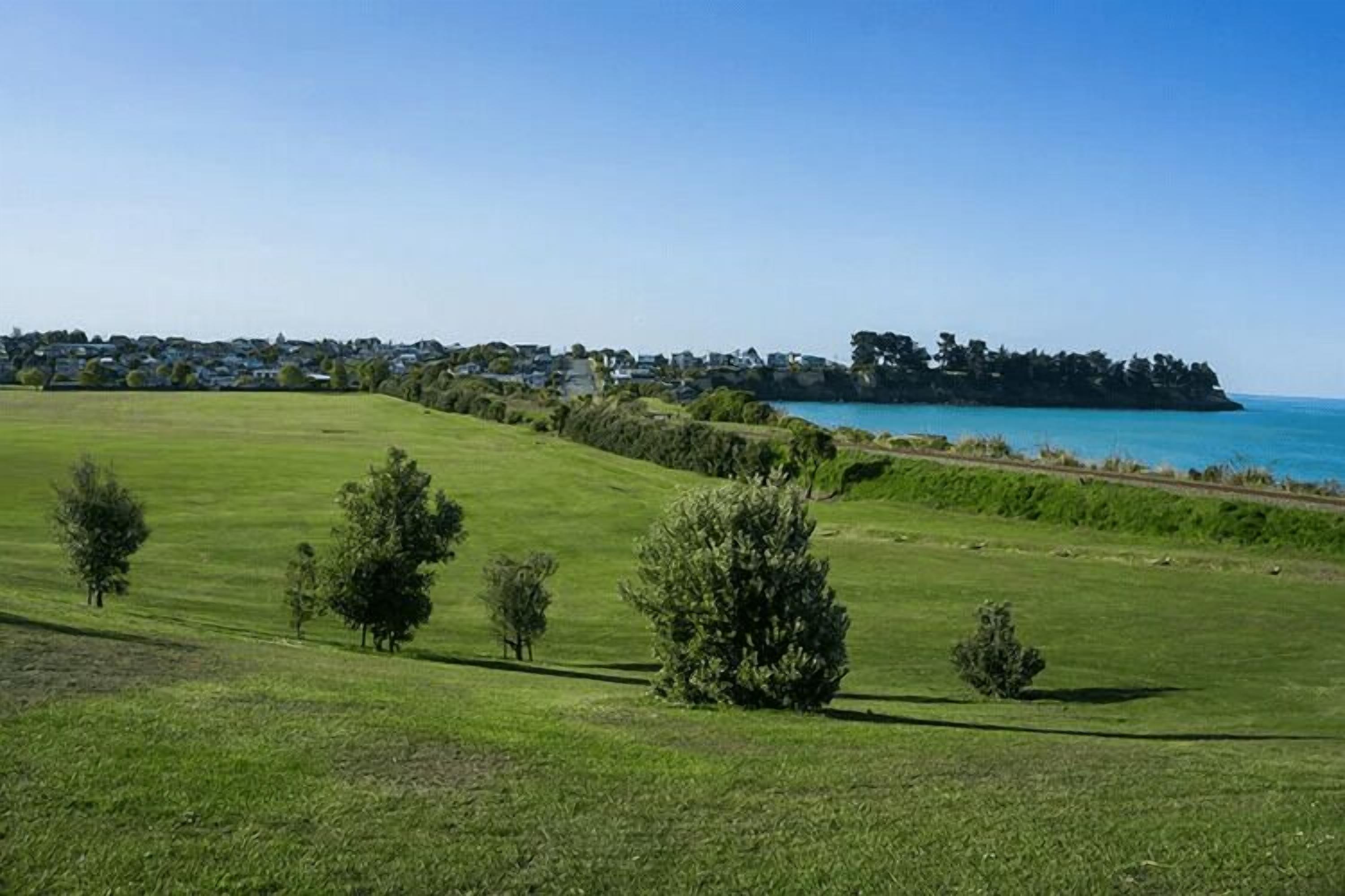 A coastal landscape with a grassy field, a few trees, and a distant shoreline with houses.