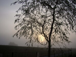 صورة غير مصنفة، 5 من 16، زرّ