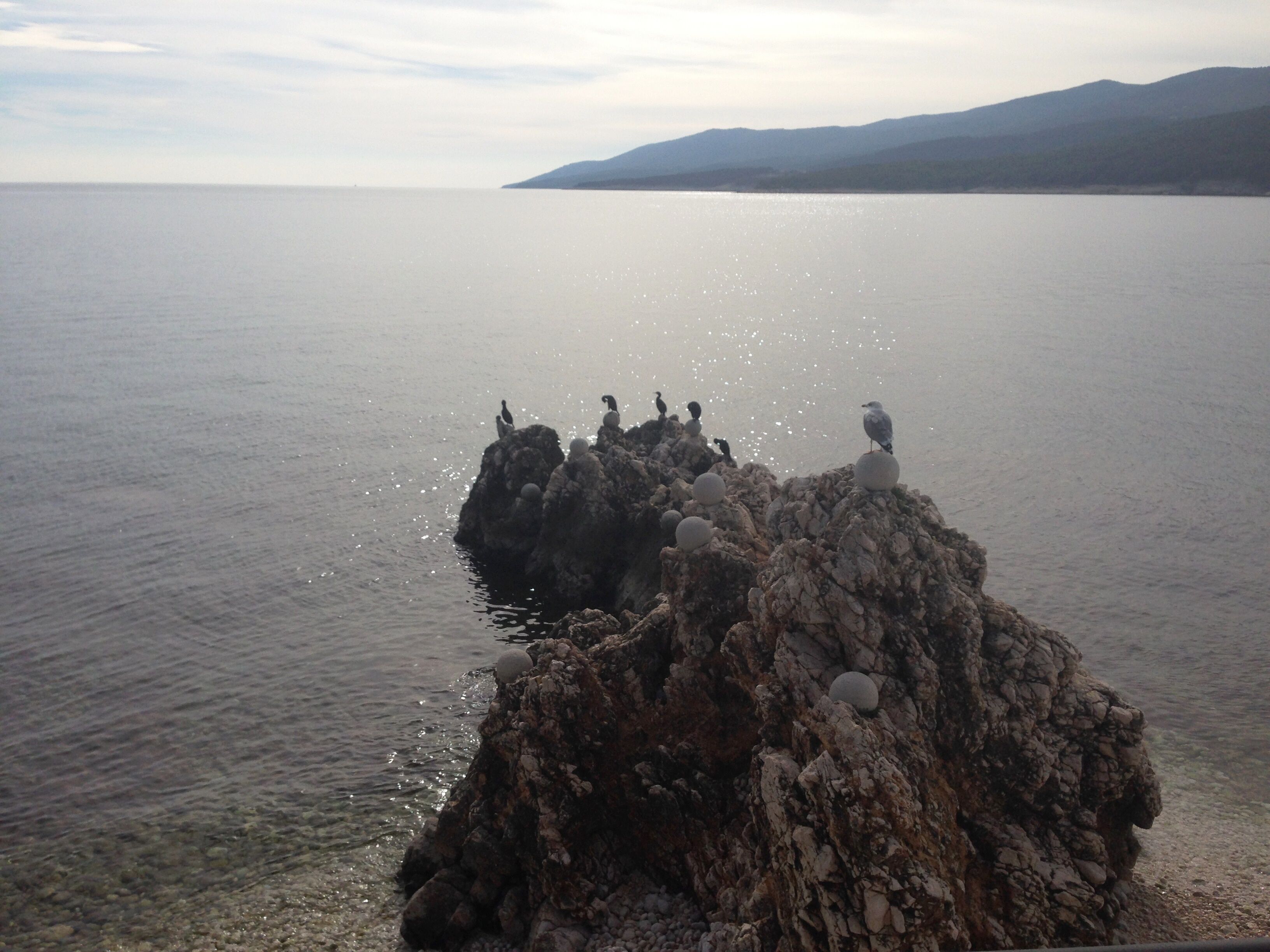 Une formation rocheuse abrupte, où sont perchés des oiseaux, surplombant une étendue d’eau calme, avec des montagnes lointaines à l’horizon.
