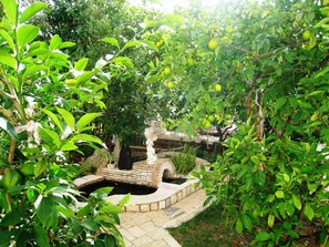 Terrein van de accommodatie