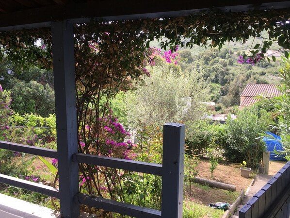 A garden view with a wooden fence, various plants, and a distant house.