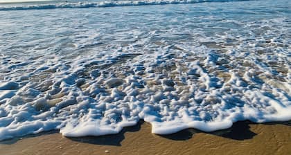 Mimizan-Plage: 3-stöckige Studios im Erdgeschoss bei 20 am Strand
