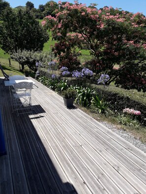 Terraza o patio