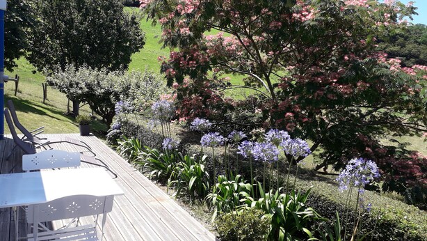 A wooden deck with outdoor furniture, surrounded by lush greenery and flowering plants.
