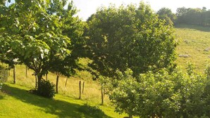 A lush green landscape with trees and a grassy field.
