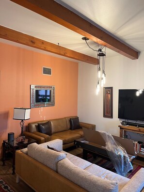 TV, lareira, livros