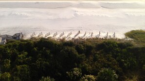 A beach with a wooden walkway leading to the water, surrounded by dense greenery. - NEW FALL RATES! Picturesque Cottage Retreat in Cassine Village, Seagrove Beach (Santa Rosa Beach)
