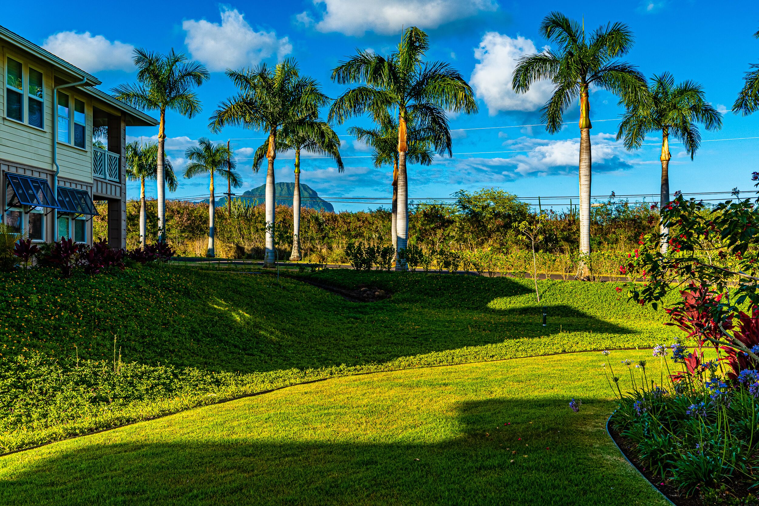 A house with a sloped roof, a front porch, and a well-maintained lawn with palm trees.