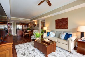 Télévision, livres, vidéothèque, chaîne hi-fi