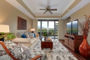 TV, books, video library, stereo