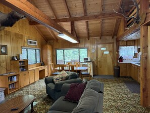 Smart TV, fireplace, DVD player, books