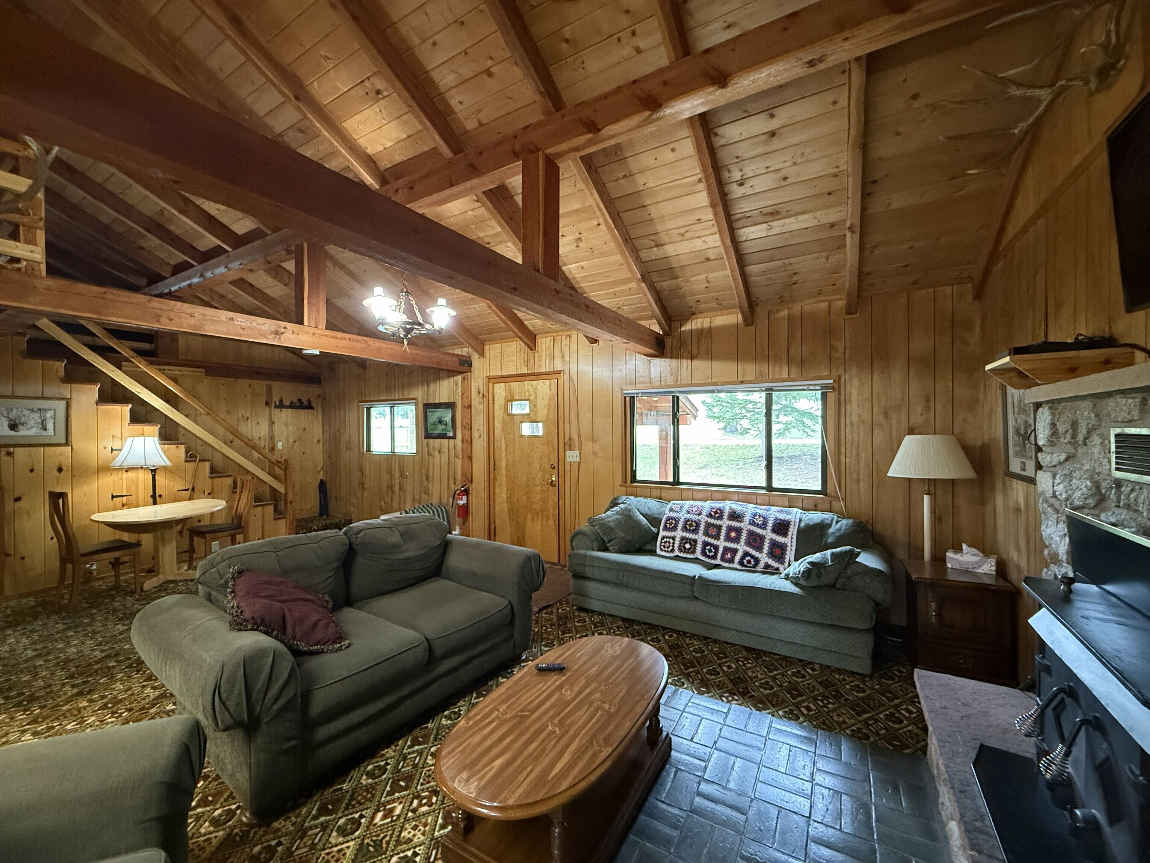 Smart TV, fireplace, DVD player, books