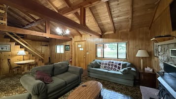 Smart TV, fireplace, DVD player, books