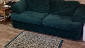 Un soggiorno con un divano verde, un tappeto decorato, un mobile TV in legno e un quadro appeso al muro.