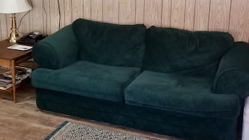 TV, fireplace, DVD player