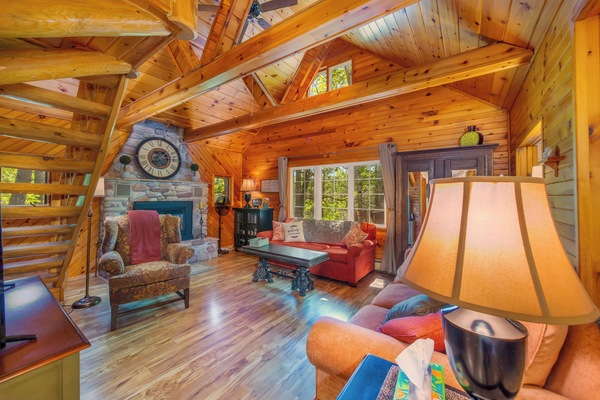 Smart TV, fireplace, DVD player, video library