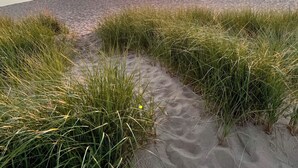 En strand med et roligt vandstykke der spejler solnedgangen, græsklædte klitter og en klar himmel.