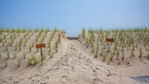 Une plage de sable avec une végétation de dune et deux panneaux indiquant : « Défense de marcher sur la dune ».