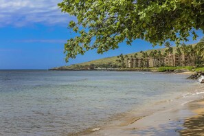 Beach - Island Sands Unit 206 Direct Oceanfront View. Enjoy the saltwater oceanfront swimming pool. (Wailuku)