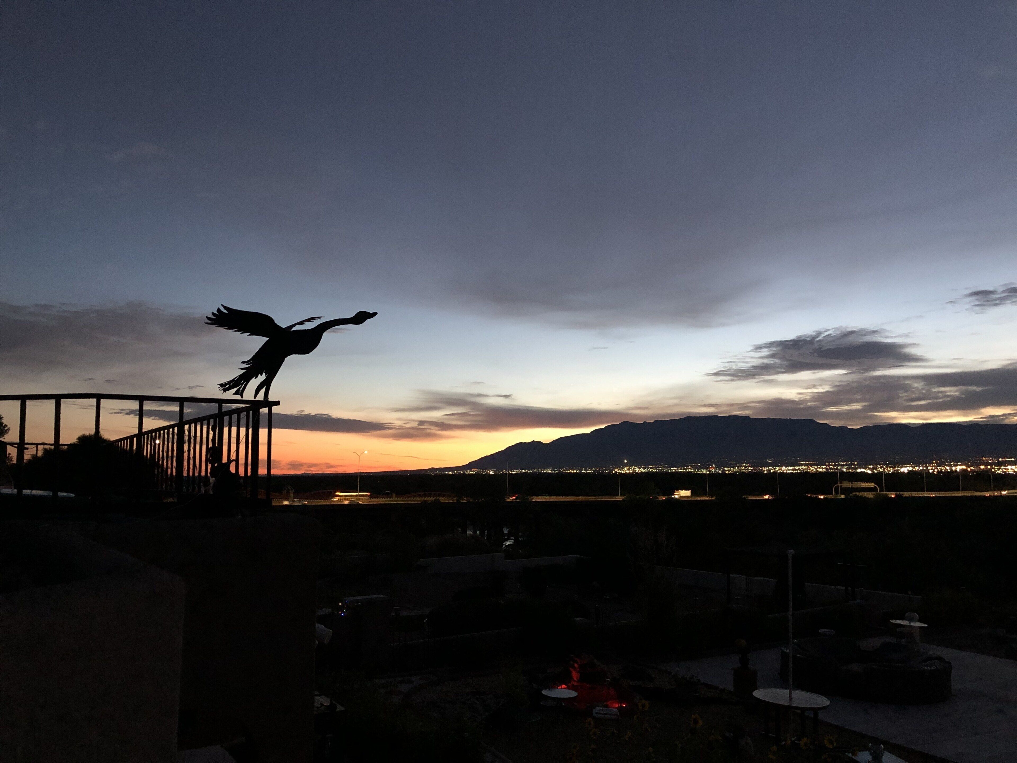 Silueta de una escultura de pájaro sobre una barandilla, con vista a un paisaje urbano y montañas al fondo.