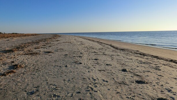 Een strand met een heldere lucht en een rustige zee.