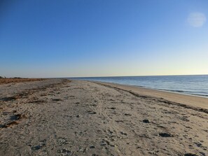 Une plage avec un ciel dégagé et une mer calme.