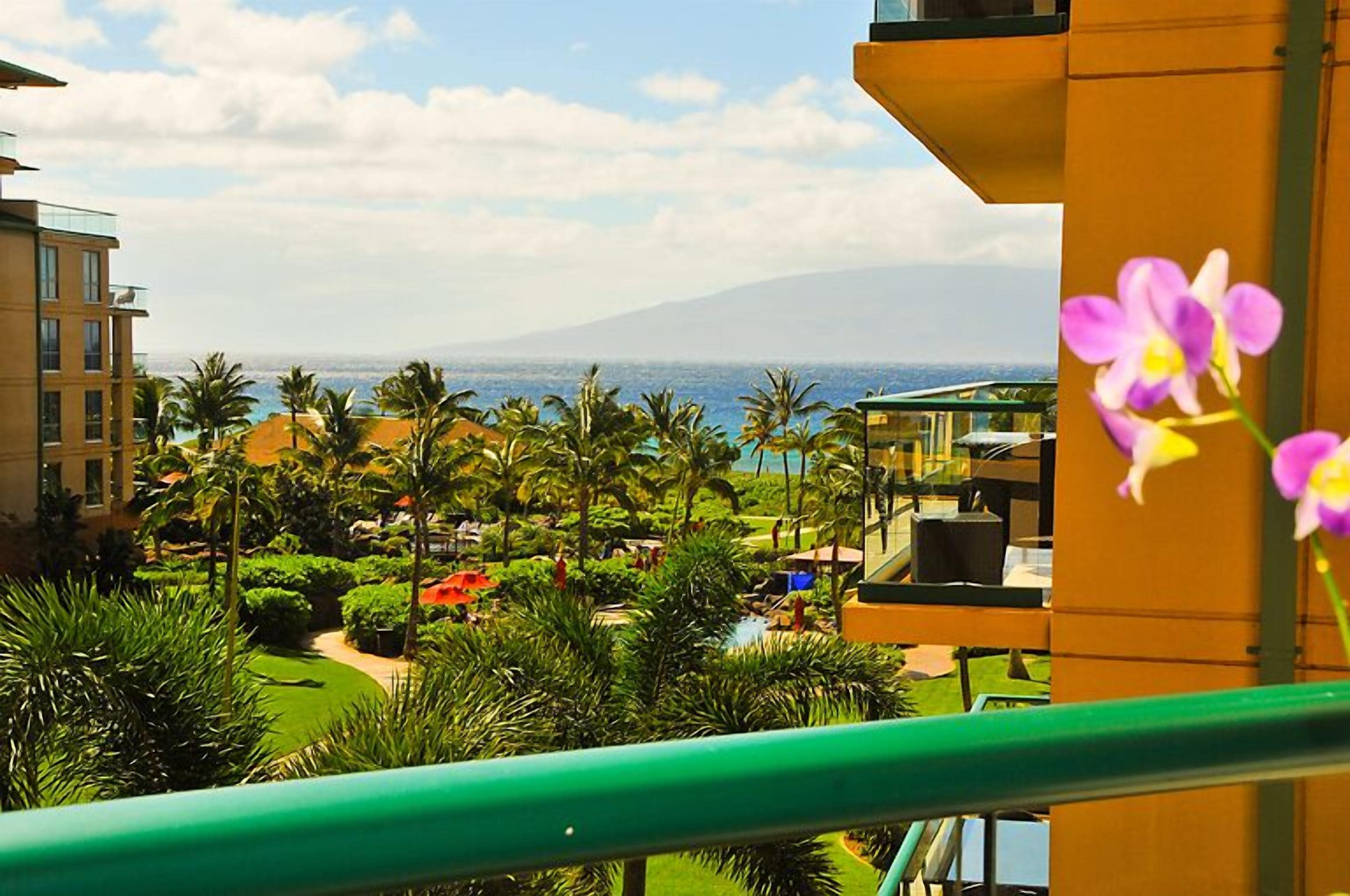 Low Summer Prices-cold AC-large studio with ocean views-5 star-Book Now