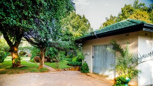 A building with a tiled roof, a paved entrance, and a garden with various plants. - Cana Guest House (Harare)