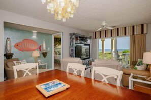 TV, DVD player, books, video library